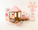 Farm girl - Party Favors Boxes - Popcorn box - Birthday.  10 Pices