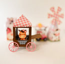 Farm girl - Party Favors Boxes - Popcorn box - Birthday.  10 Pices