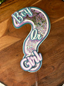 Cake Topper Gender Reveal